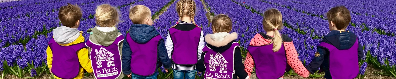 cover-image